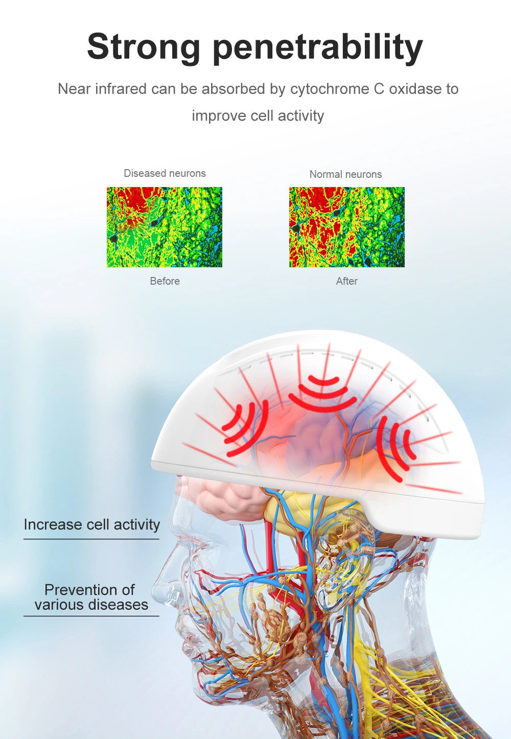 dr fuji brain helmet penetration