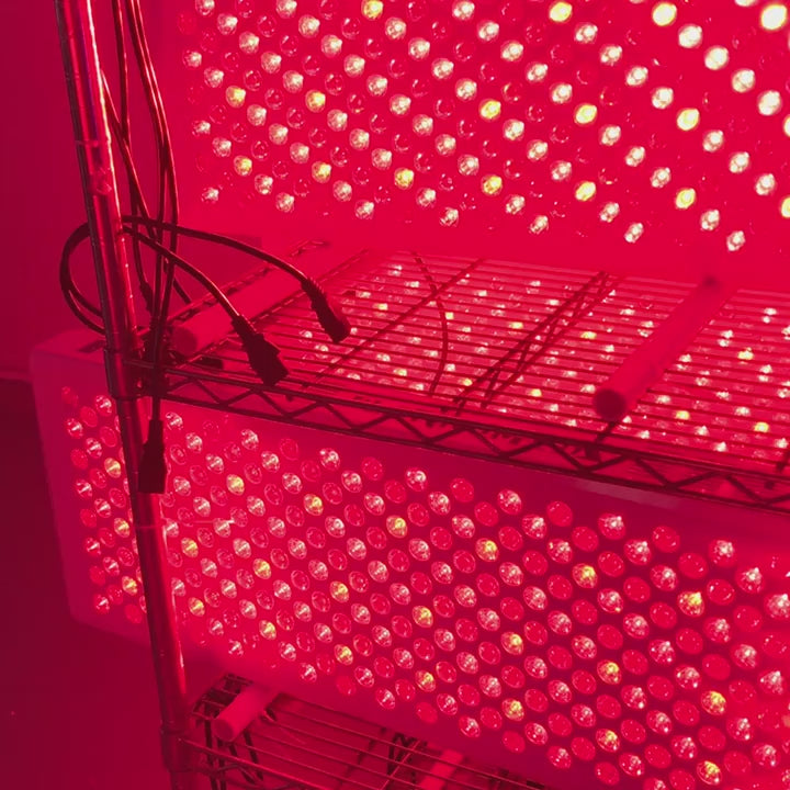 FJ-20061 Full Body LED Red Light Therapy Bed | Professional Photobiomodulation System